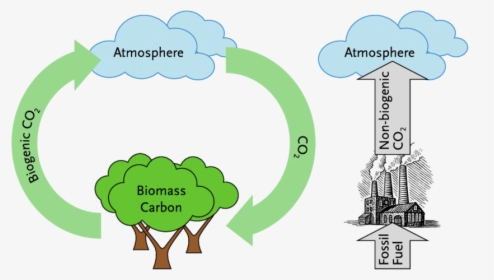 Fast Carbon Cycle Diagram, HD Png Download, Transparent PNG