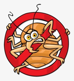 Bedbug-page - No Bed Bugs, HD Png Download, Transparent PNG