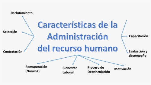 Administracion Del Recurso Humano, HD Png Download, Transparent PNG