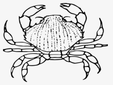 Hermit Crab Clipart Chibi - Clip Art, HD Png Download, Transparent PNG