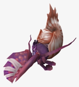 The Runescape Wiki - Hermit Crab In Nautilus Shell, HD Png Download, Transparent PNG