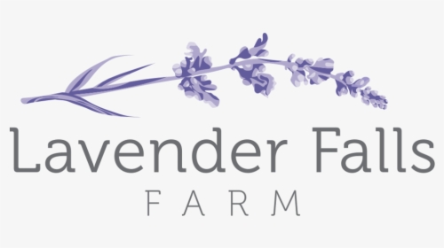 Lavender Sprig Png , Png Download - Lavender Logo Png, Transparent Png, Transparent PNG