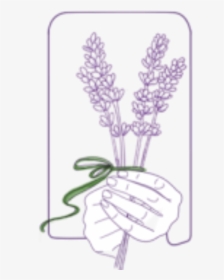 Lavender Sprigs - Illustration, HD Png Download, Transparent PNG
