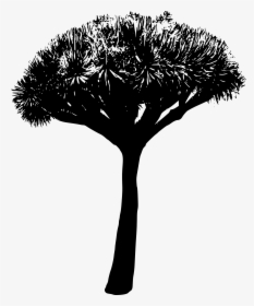 Tree Silhouette 2 - Grass Background Black And White Png File, Transparent Png, Transparent PNG