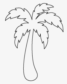 Palm Tree Outline - Easy Simple Palm Tree Drawing, HD Png Download ...