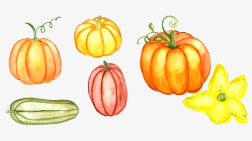 Watercolor Pumpkin Png -watercolor Pumpkin Clipart - Watercolor Pumpkins Kids, Transparent Png, Transparent PNG