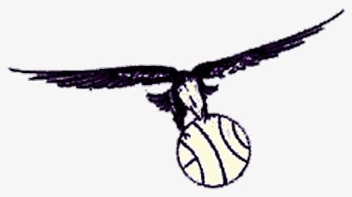 St Louis Hawks Logo Png, Transparent Png, Transparent PNG