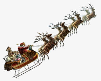 #christmas #sleigh - Reindeer, HD Png Download, Transparent PNG