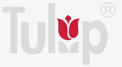 Tulip Vector, HD Png Download, Transparent PNG