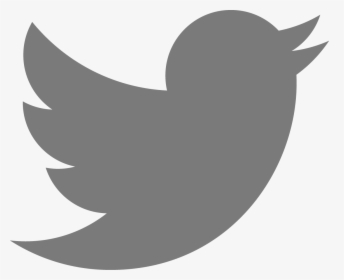 Twitter Grey Logo Png , Png Download - Logo Twitter Gris Png, Transparent Png, Transparent PNG