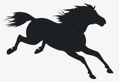 Mustang Pony Animal - Stallion, HD Png Download, Transparent PNG