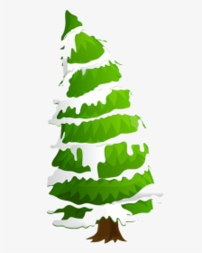 Christmas Pine Tree Png Clipart - Christmas Tree Png Free, Transparent Png, Transparent PNG