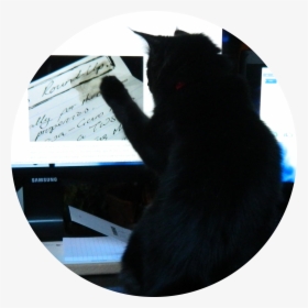 Transparent Ink Smudge Png - Black Cat, Png Download, Transparent PNG