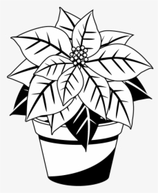 Poinsettia Cliparts Free - Poinsettia Black And White, HD Png Download, Transparent PNG