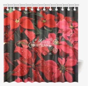 Poinsettia, Merry Christmas Shower Curtain 69 X70, HD Png Download, Transparent PNG