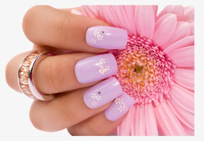 Transparent Nail Png - High Resolution Images Nails, Png Download, Transparent PNG