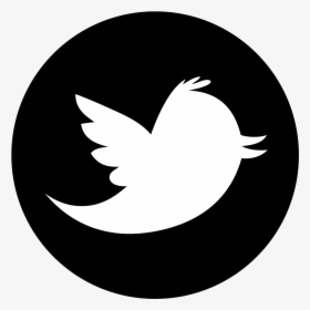 Thumb Image - Twitter Logo Vector Circle, HD Png Download, Transparent PNG
