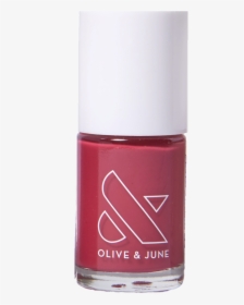 Olive And June Pink Nail Polish, HD Png Download, Transparent PNG