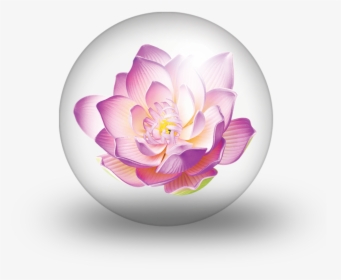 Purple Blue Red Lotus Flower, HD Png Download, Transparent PNG