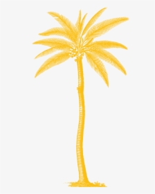 Palm Tree Botanical Prints, HD Png Download, Transparent PNG