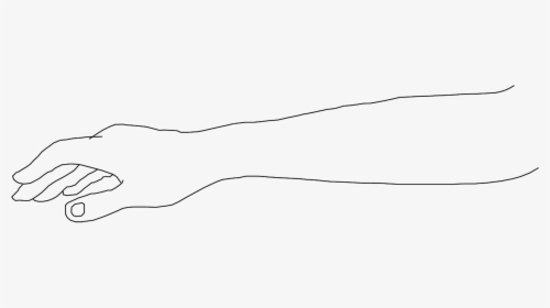 Sketch, HD Png Download, Transparent PNG
