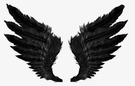 Transparent Demon Wings Png - Black Angel Wings Png, Png Download, Transparent PNG