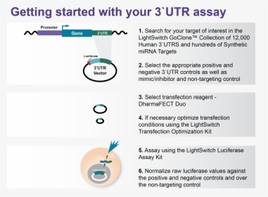 Getting Started With Your Lightswitch 3`utr Assay - Animated Progress Bar, HD Png Download, Transparent PNG