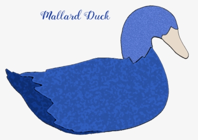 Mallard Duck Decoy Mallard Duck Mallard Duck Blue Mallard - Ruddy Duck, HD Png Download, Transparent PNG