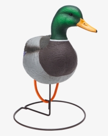 Oversized Field Mallard Drake Active Duck Hunting Decoy - Mallard, HD Png Download, Transparent PNG