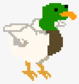 Duck, HD Png Download, Transparent PNG
