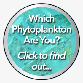 Phytoplankton Quiz Emblem - Circle, HD Png Download, Transparent PNG
