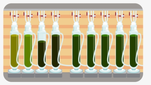 Marine Phytoplankton Growing Conditions & Process - Illustration, HD Png Download, Transparent PNG