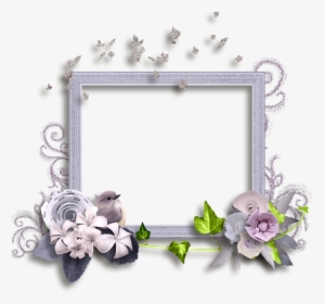 Фотки Halloween Frames, Christmas Frames, Boarders, - Picture Frame, HD Png Download, Transparent PNG