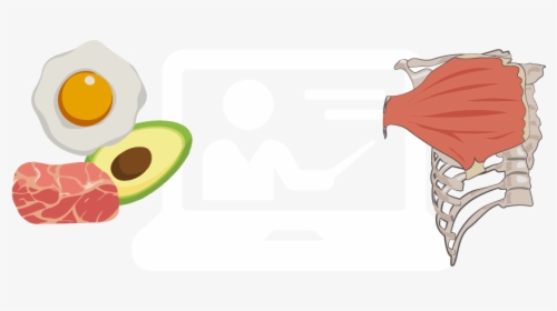 Graphic Design, HD Png Download, Transparent PNG