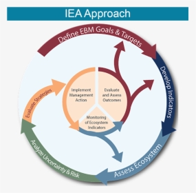 Iea Approach - Ecosystem Based Management Process, HD Png Download, Transparent PNG