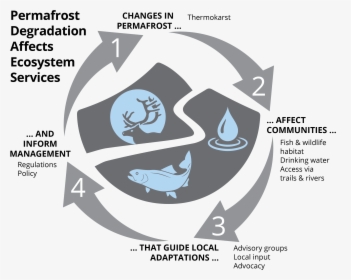 Permafrost Ecosystem Services - Graphic Design, HD Png Download, Transparent PNG