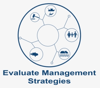 Management Strategy Evaluation - Draw A Soccer Ball Step, HD Png Download, Transparent PNG