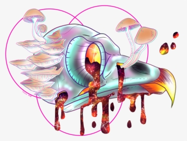 Bird Skull - Illustration, HD Png Download, Transparent PNG