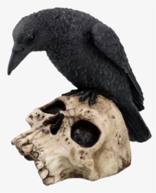 Perched Raven On Skull Statue - Статуэтка Ворон, HD Png Download, Transparent PNG