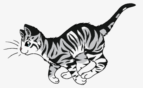Gray Tabby Warrior Cats , Png Download - Warrior Cats Transparent Background, Png Download, Transparent PNG