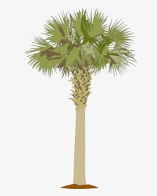 Palmetto Tree Clipart, HD Png Download, Transparent PNG