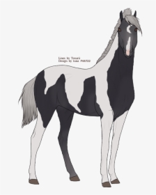 Picture - Mustang Horse, HD Png Download, Transparent PNG