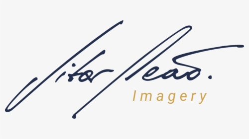 Leao Png, Transparent Png, Transparent PNG
