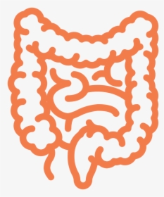 Intestine Ecm Cell Culture Substrates - Intestines Icon, HD Png Download, Transparent PNG