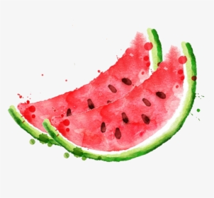Royalty Free Stock Photography Clip Art Royaltyfree - Watermelon Watercolor Png, Transparent Png, Transparent PNG