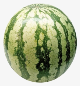 Transparent Watermelon Vector Png - Watermelon Png, Png Download, Transparent PNG