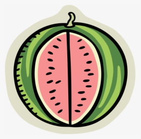 Vector Illustration Of Summer Melon Watermelon Edible - Watermelon, HD Png Download, Transparent PNG