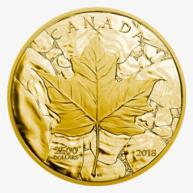Canada 1kg Gold Coin, HD Png Download, Transparent PNG
