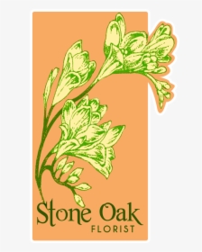 Stone Oak Florist - Illustration, HD Png Download, Transparent PNG