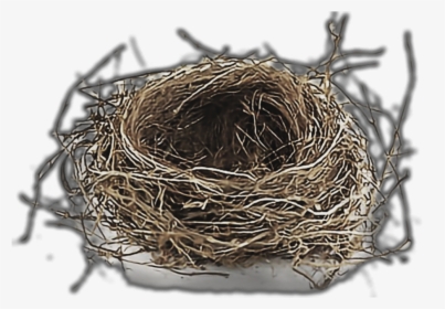 #birdsnest, HD Png Download, Transparent PNG